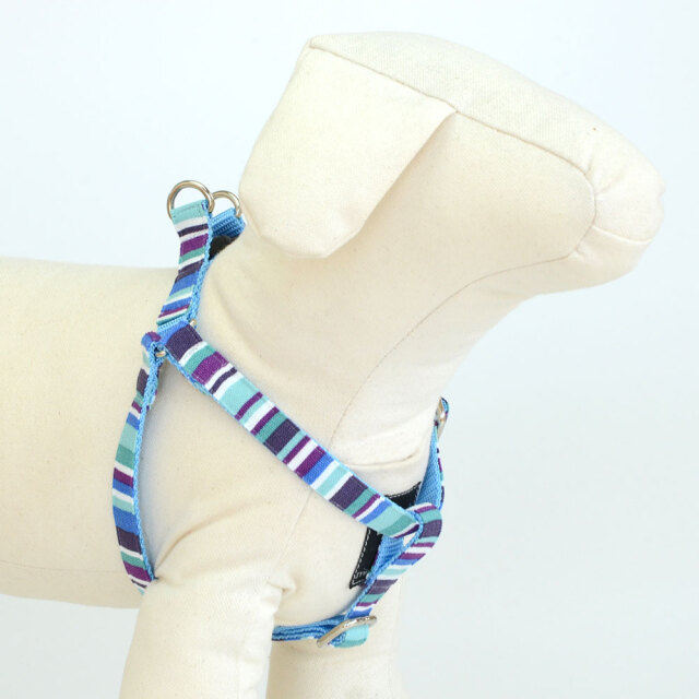 プチサマーハーネス