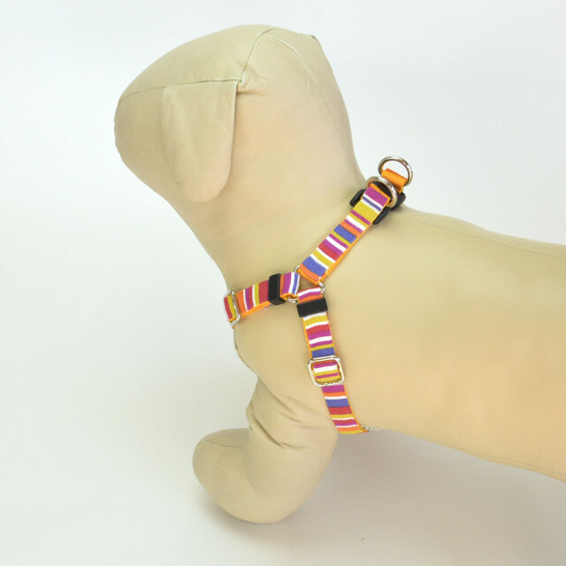 プチサマーハーネス