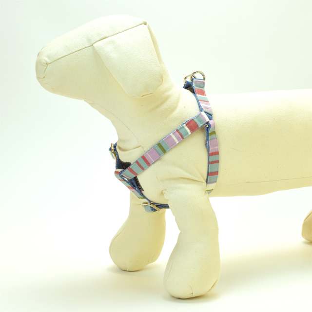 プチオアシスハーネス