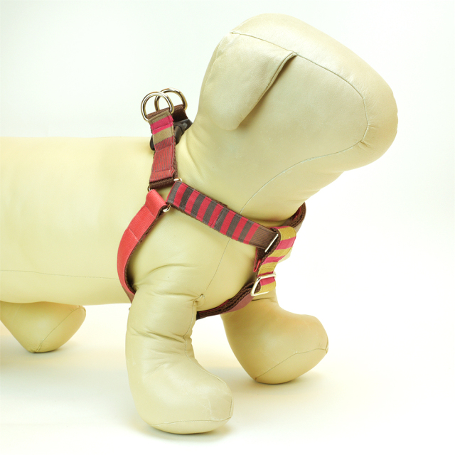 ラズベリーショコラハーネス