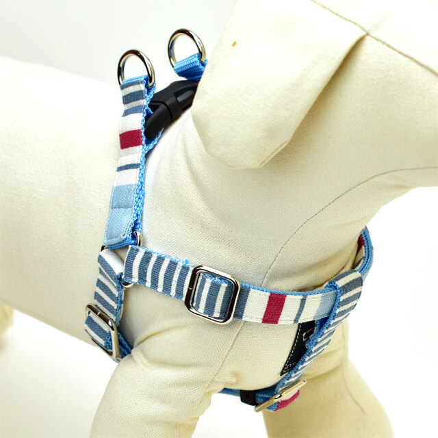 スカイハーネス