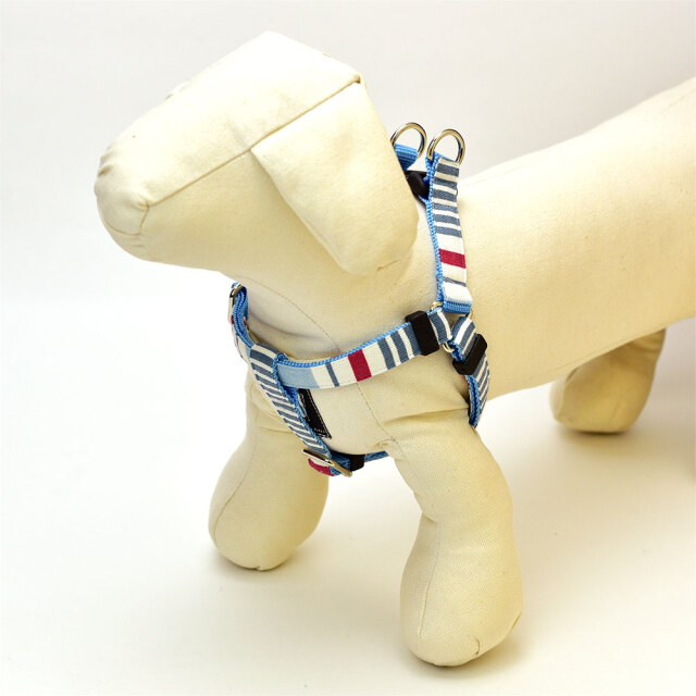 スカイハーネス