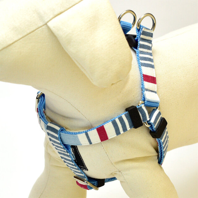 スカイハーネス