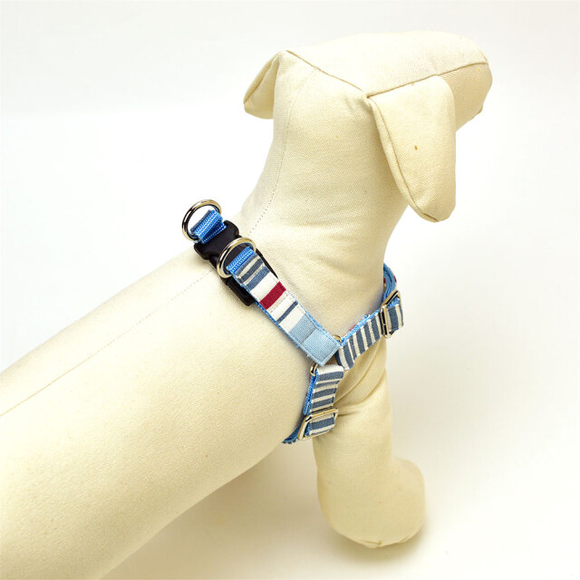 スカイハーネス