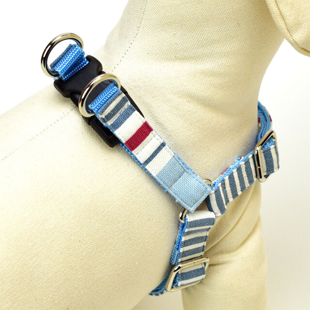 スカイハーネス