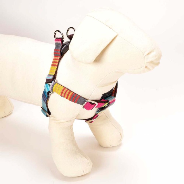 ベネツィアハーネス