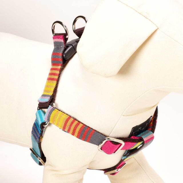 ベネツィアハーネス