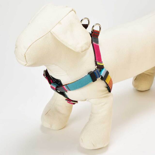 ベネツィアハーネス