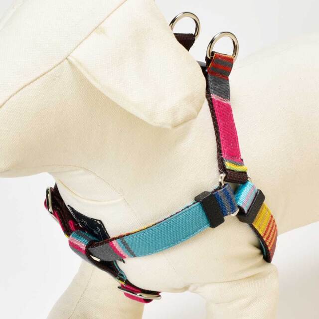 ベネツィアハーネス