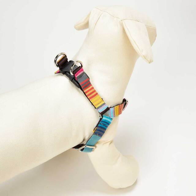 ベネツィアハーネス