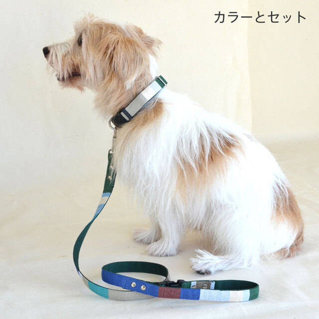 ウィンターガーデンリード