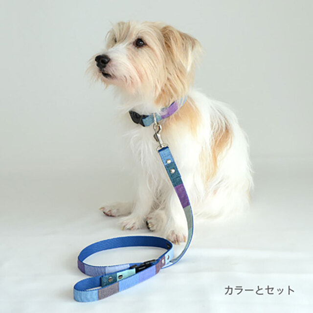 ラグーンリード