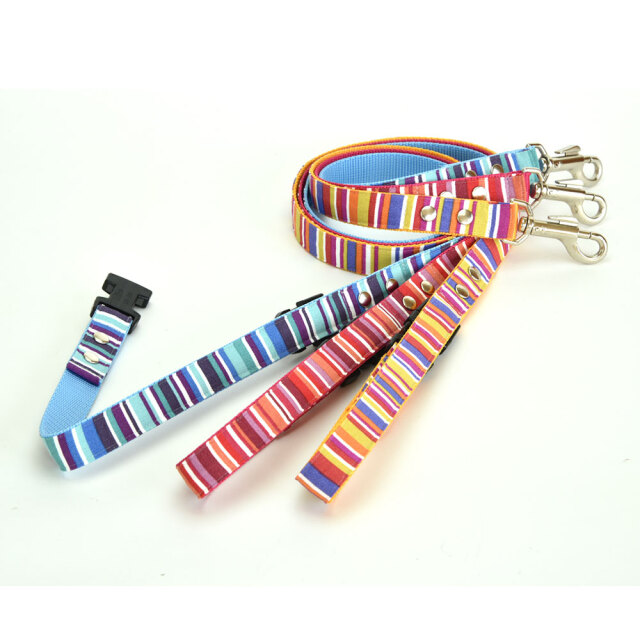 プチサマーリード