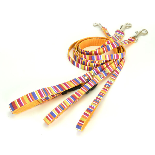 プチサマーリード