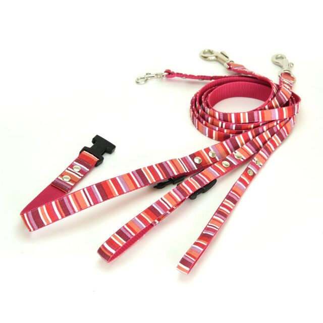 プチサマーリード