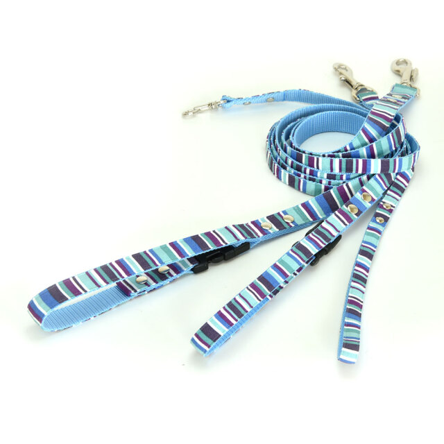 プチサマーリード