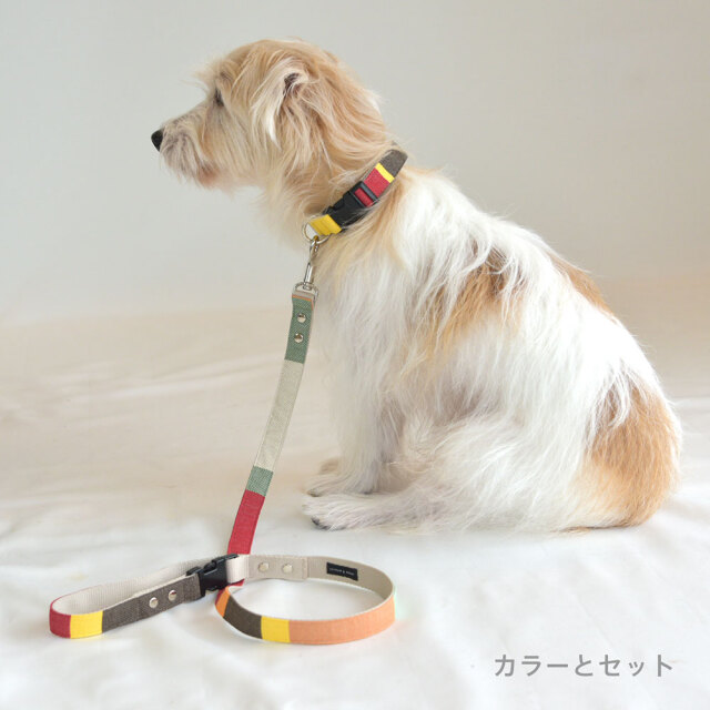 ベジタブルリード