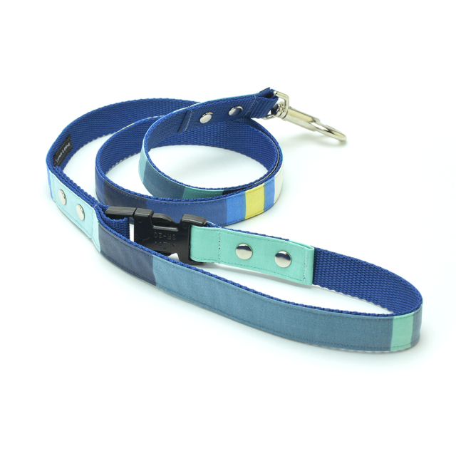 オーシャンリード