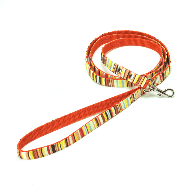 プチオレンジマルチリード