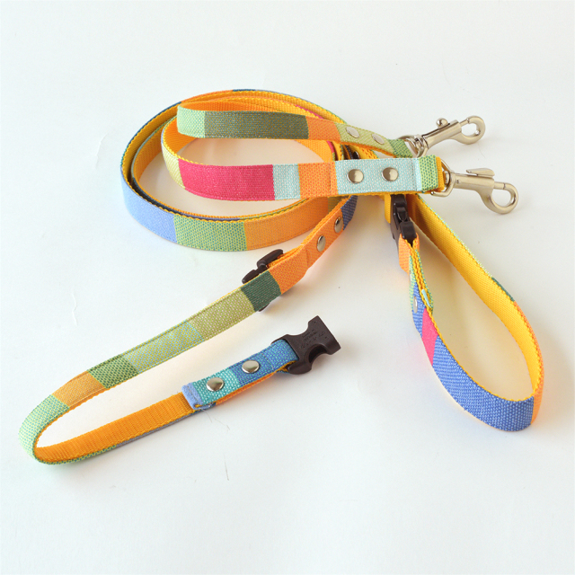 ミニヨンリード