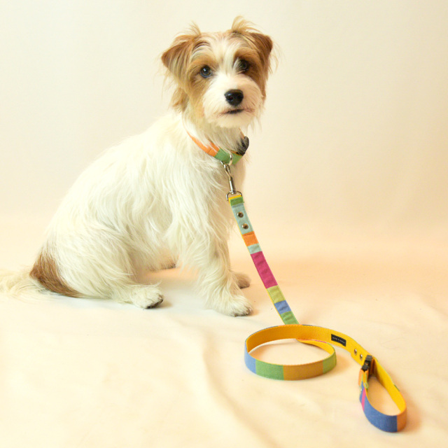 ミニヨンリード