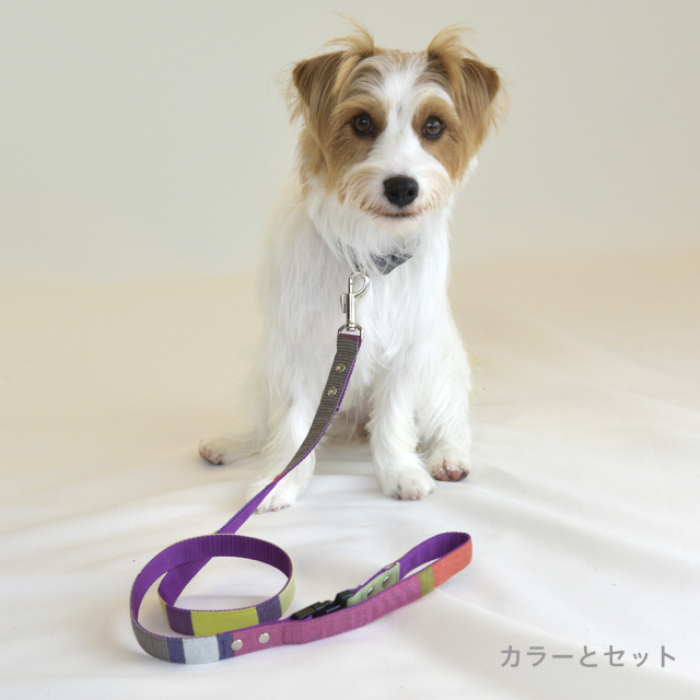 マルベリーリード