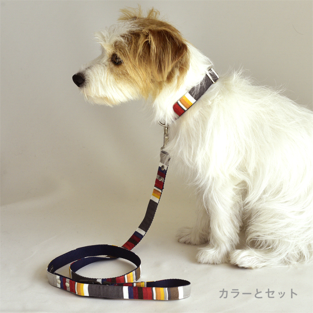 サンセットリード