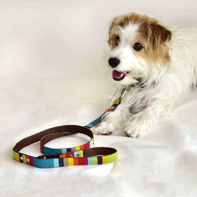 アルカンシエルリード