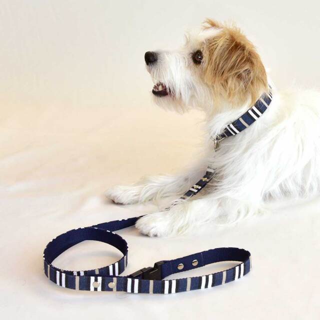 ネイビーブルーリード