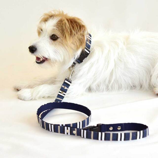 ネイビーブルーリード