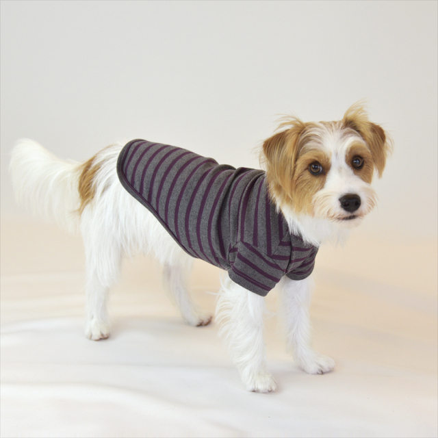 オータムボーダーTシャツ