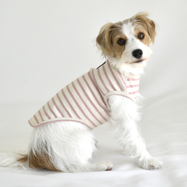 シンプルボーダーノースリーブ