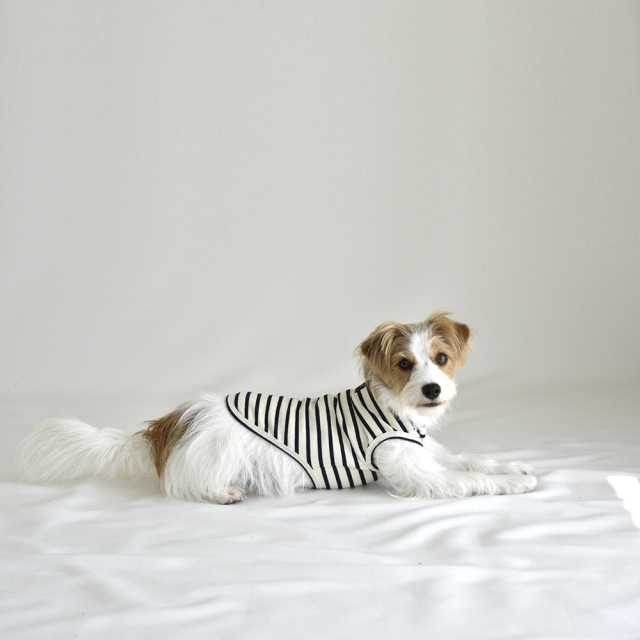 シンプルボーダーノースリーブ