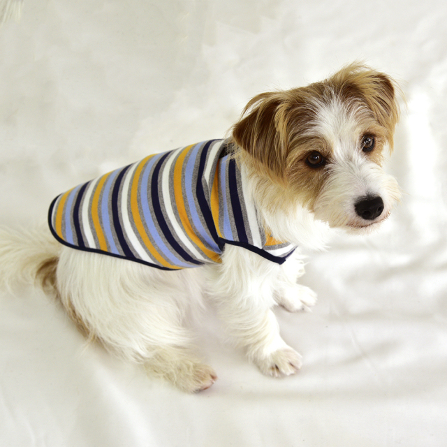 スカイノースリーブ