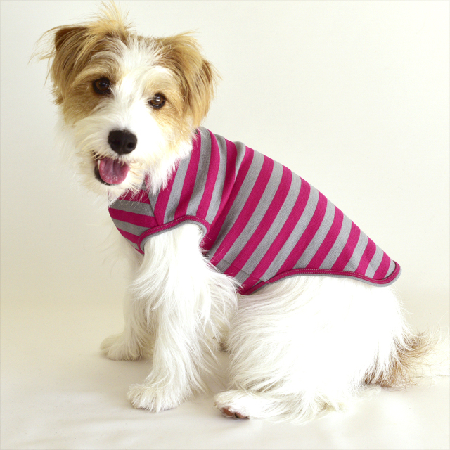 スムースボーダーノースリーブ