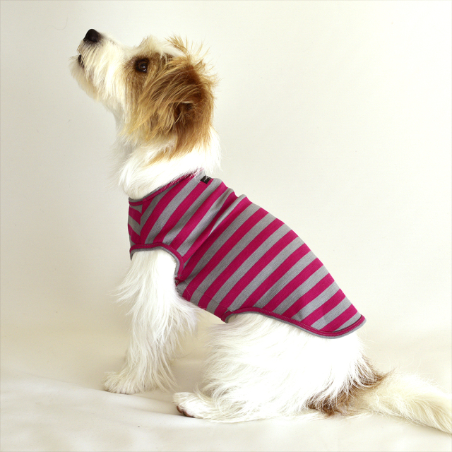 スムースボーダーノースリーブ