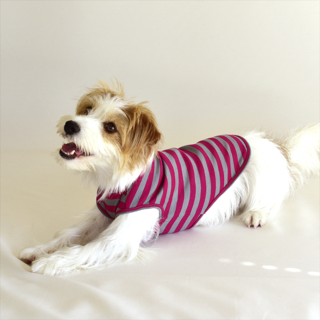 スムースボーダーノースリーブ