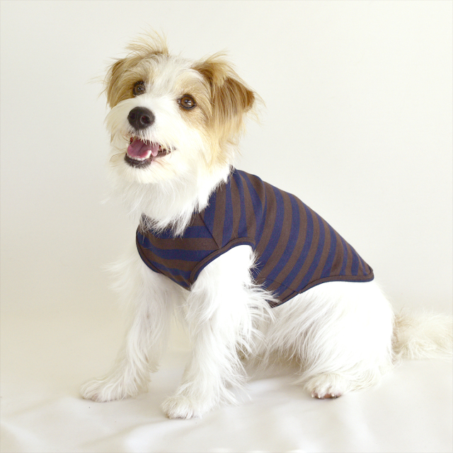 スムースボーダーノースリーブ