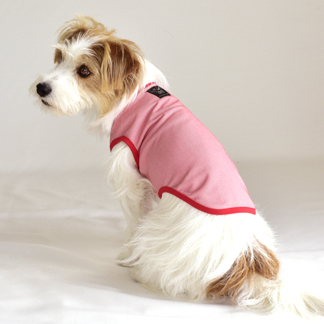 クールストライプノースリーブ 7