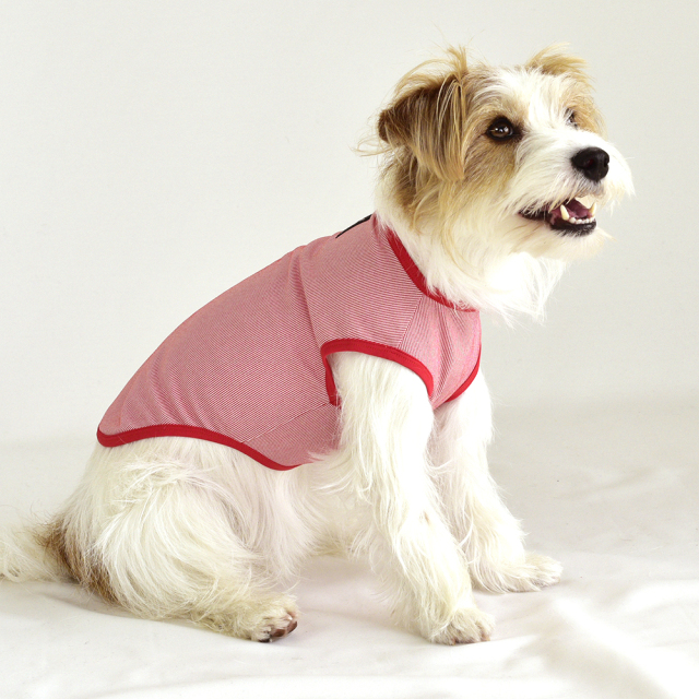 クールストライプノースリーブ 8