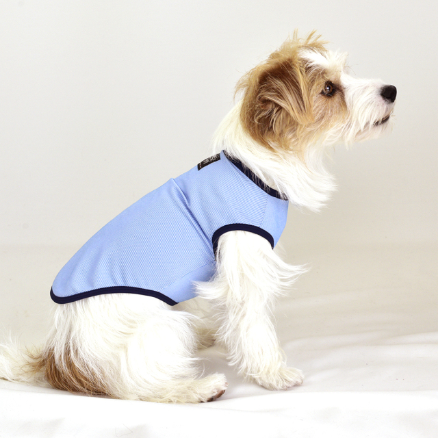 クールストライプノースリーブ 9