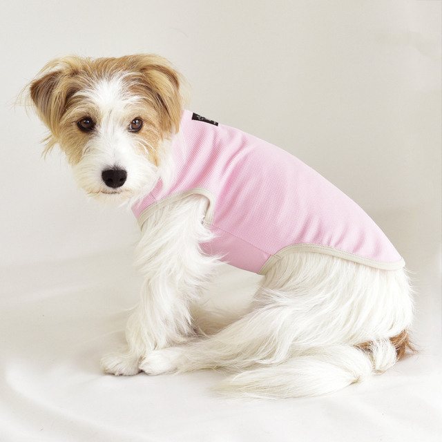 クールシンプルノースリーブ