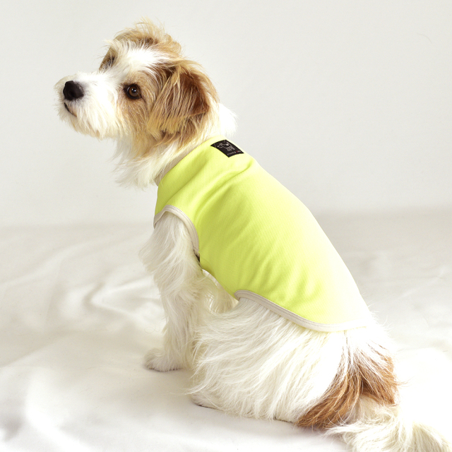 クールシンプルノースリーブ