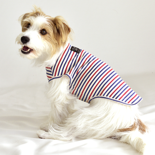 トリコノースリーブ