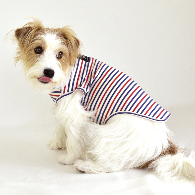 トリコノースリーブ