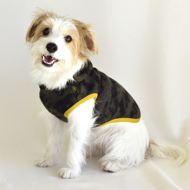 フリーダムパーカー