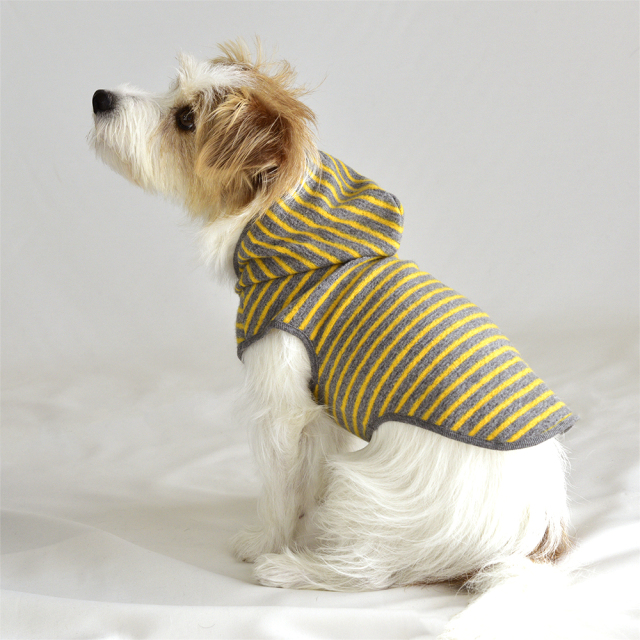 イエローボーダーパーカー