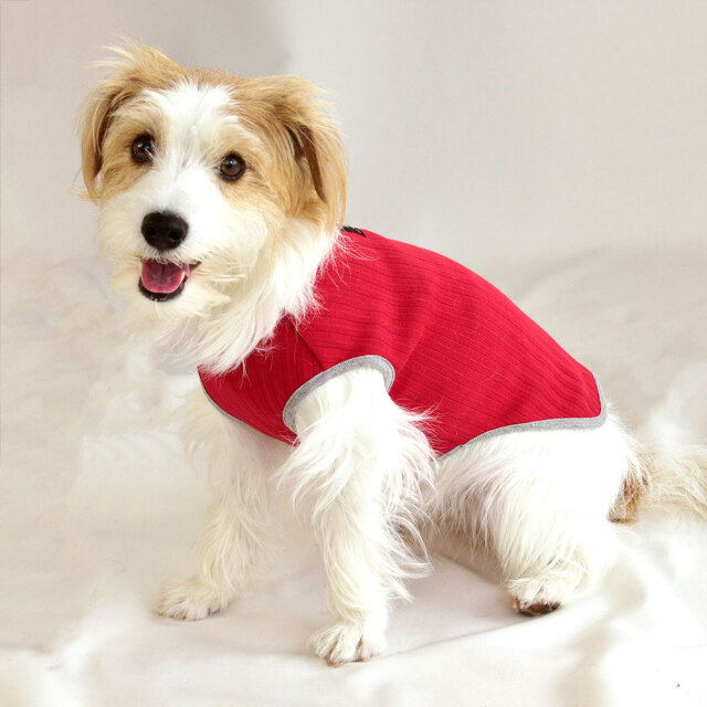 ソリッドラインノースリーブ