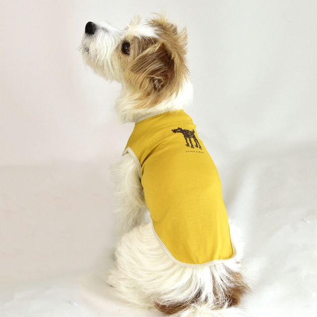 モジャクールノースリーブ