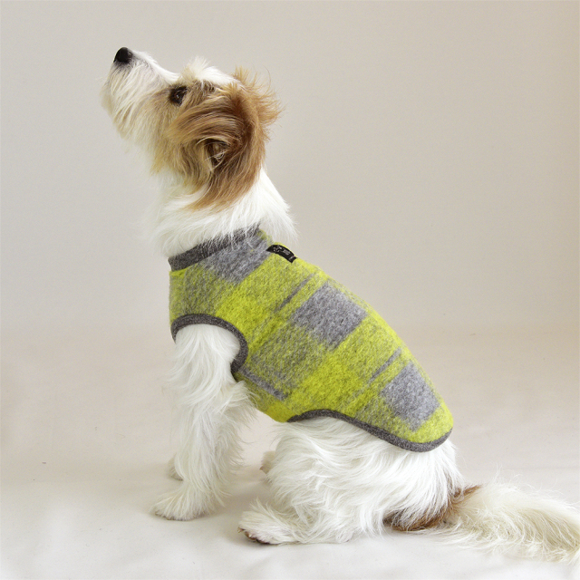 ビッグチェックノースリーブ